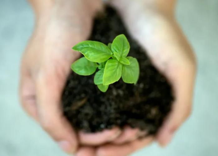 Puerto Antilla Grand Hotel Islantilla Lepe   Puerto Antilla Grand Hotel Islantilla Lepe